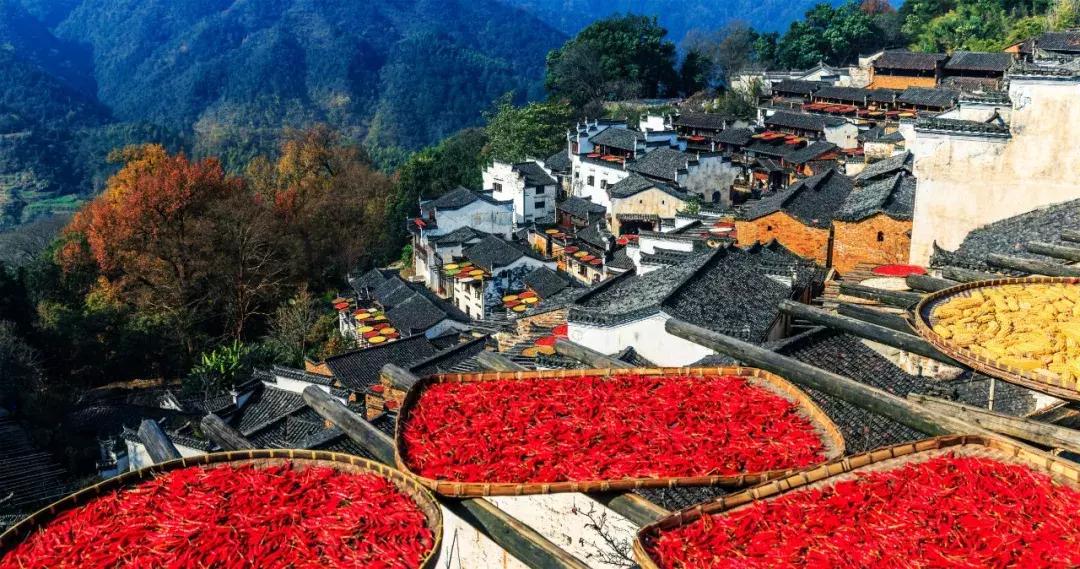 cctv榫欑伅,cctv璇锋偍娆ｈ祻姹熻タ濠烘簮