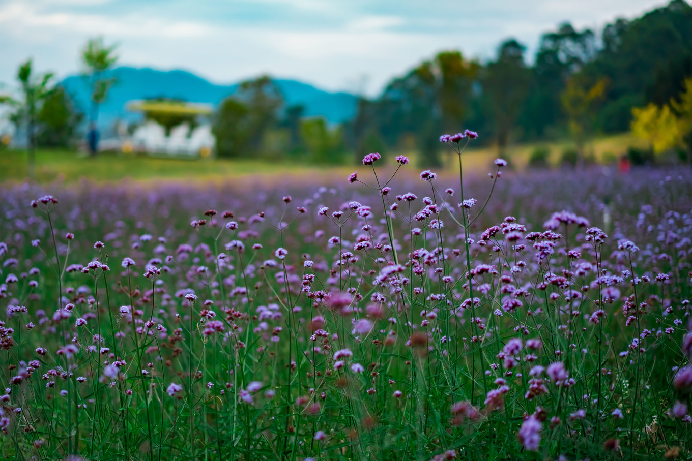云南腾冲9月旅游攻略,云南腾冲旅游攻略秋天