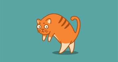 宠物生活节南京,南京宠物文化节活动