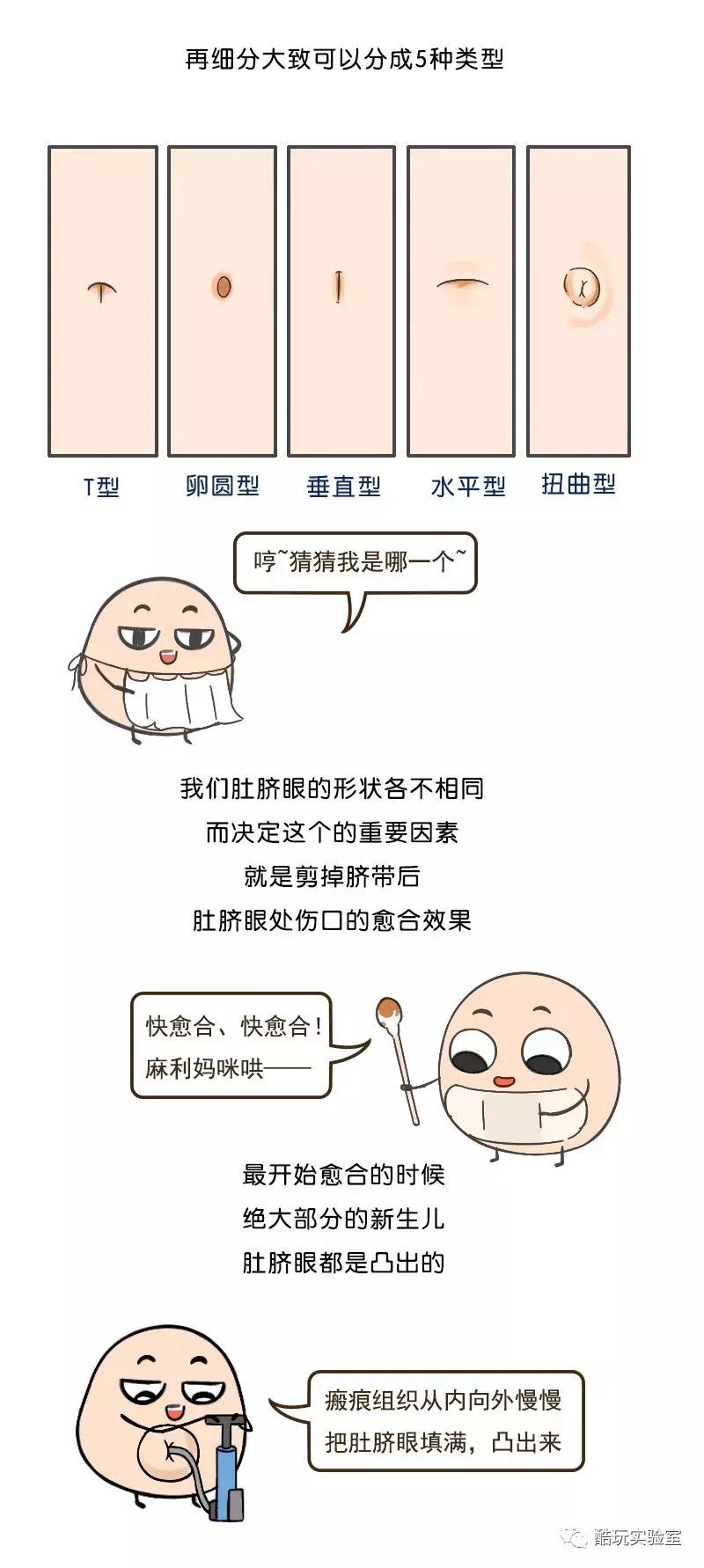 人类身上的第一道疤痕---肚脐眼，好神奇！（漫画）