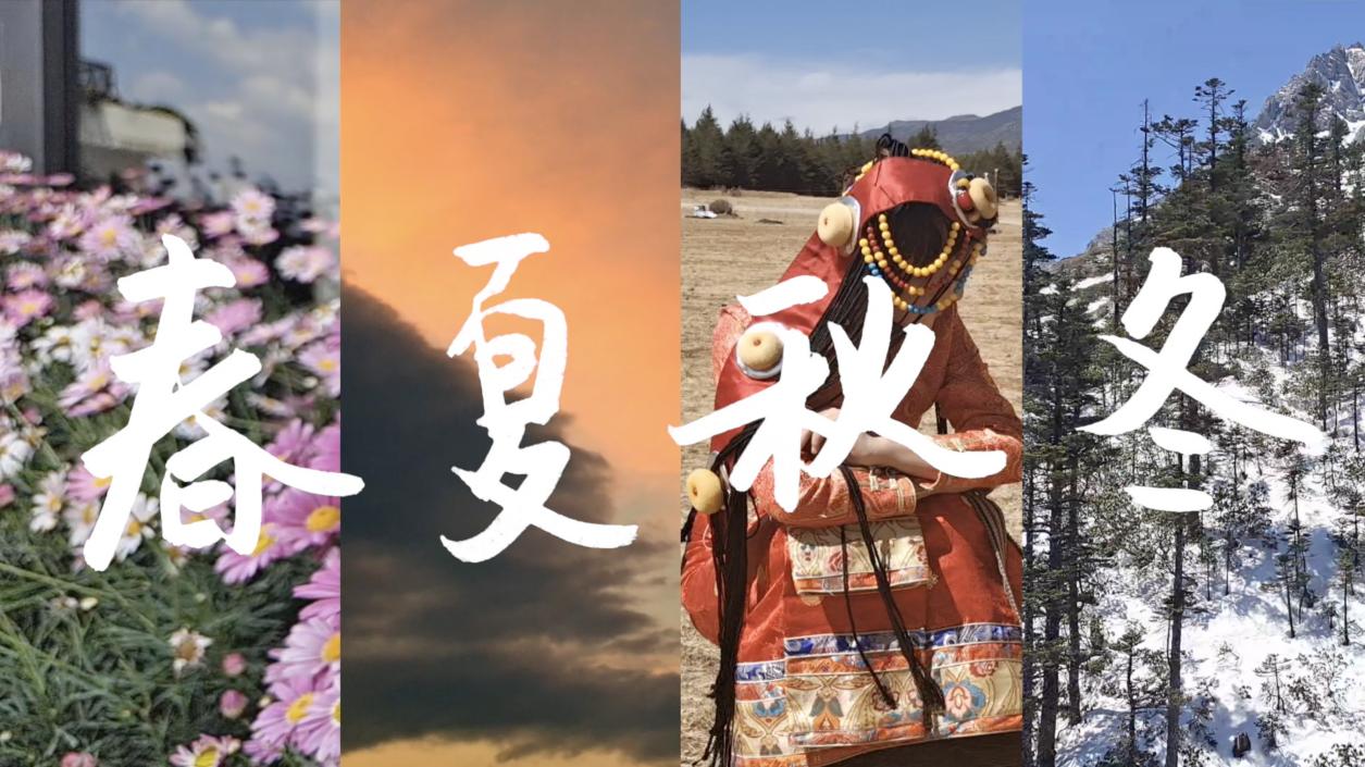 vivos6拍照效果,vivos6手机拍摄视频技巧和拍照片