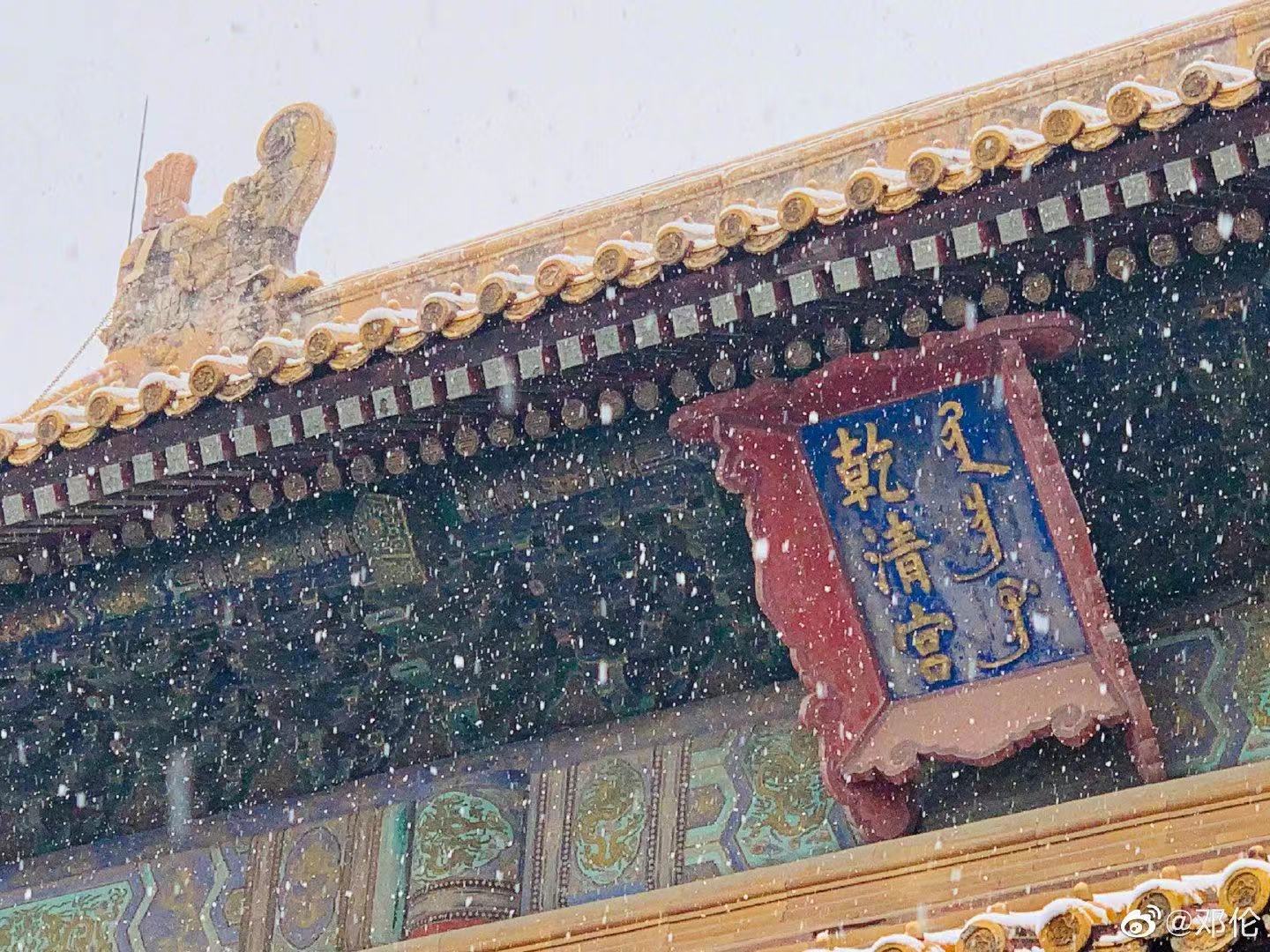 滚蛋吧肿瘤君完整视频,滚蛋吧肿瘤君电视剧