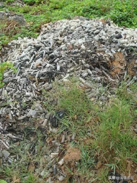 1992年山西钴60事件处理结果,90年代山西钴辐射