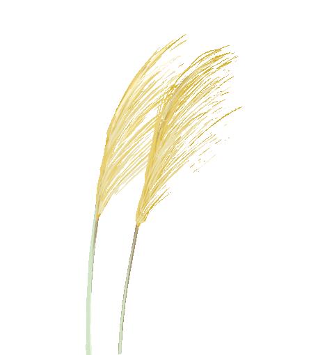 洛阳一大型网红公园免费开放,洛阳湿地公园网红打卡地