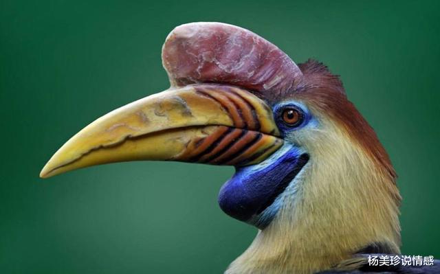 最残忍的十大文玩,带血的文玩有什么忌讳