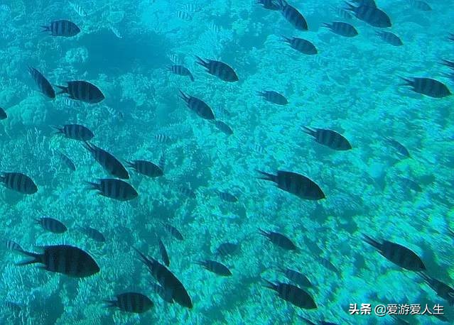 埃及旅游攻略自由行攻略,埃及旅游景点攻略大全