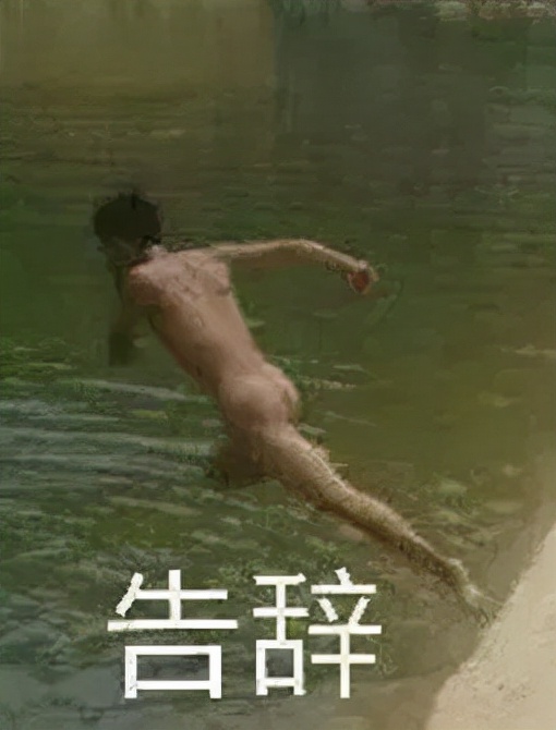 微软再次开放windows10,微软windows10大整改