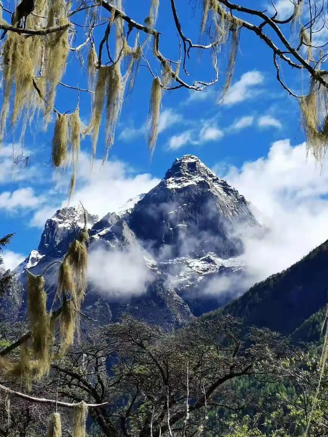 七月份适合去四姑娘山吗,七八月份值得去四姑娘山吗