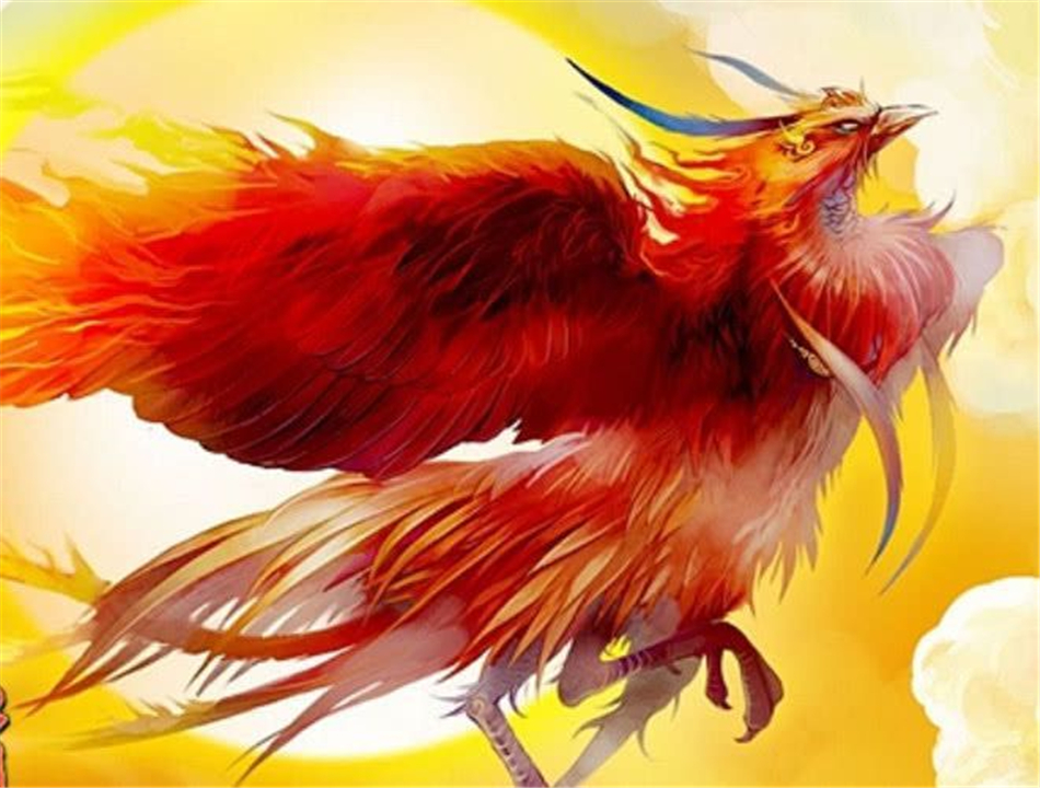 乌鸦死后，为什么周围会聚集一群活着的乌鸦？难道乌鸦也办葬礼？