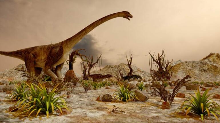 恐龙大灭绝的小行星在哪,灭绝恐龙的小行星有多恐怖