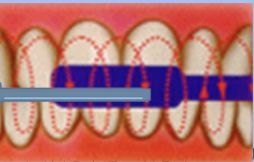 宝宝不爱刷牙用什么方法,宝宝不肯洗脸刷牙要怎么引导