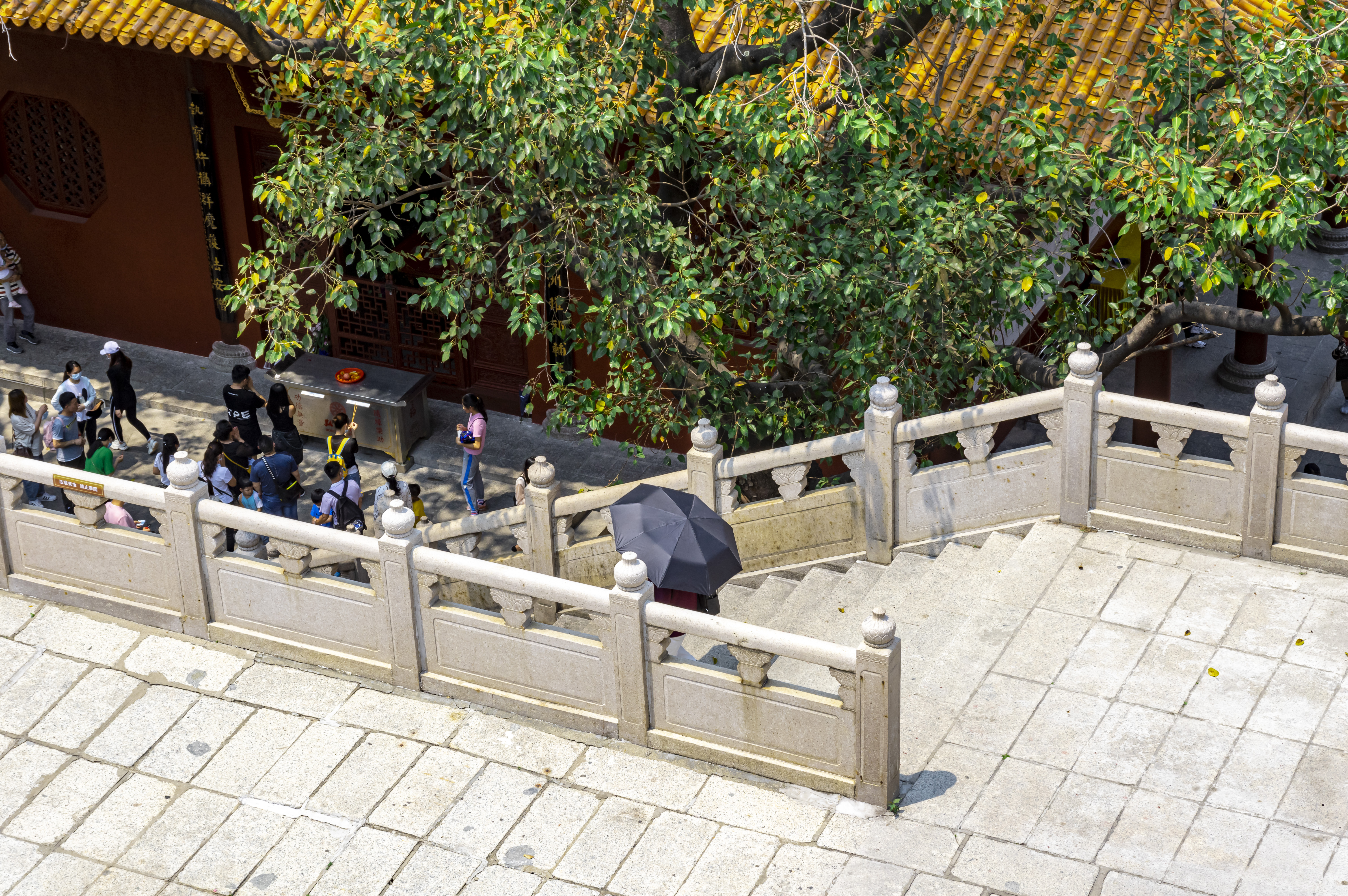 深圳10个最具怀念价值公园,深圳10大公园排名榜单最新公布