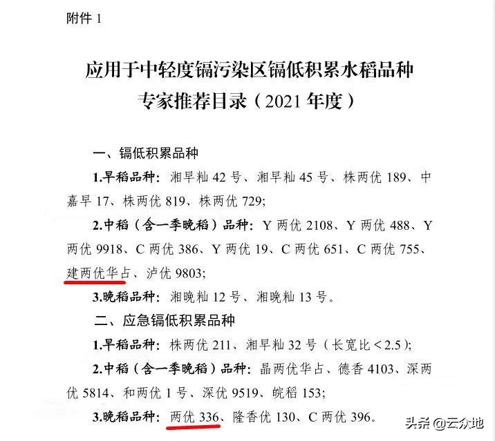 中国大米镉污染高清分布图最新,镉大米治理