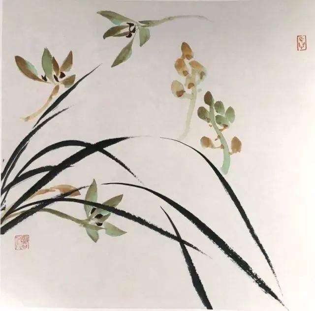 如何画兰花图片大全大图,怎么样画兰花才能好看