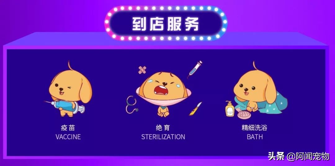 看完猫你还想养吗,养猫咪怎么最省钱也能吃好