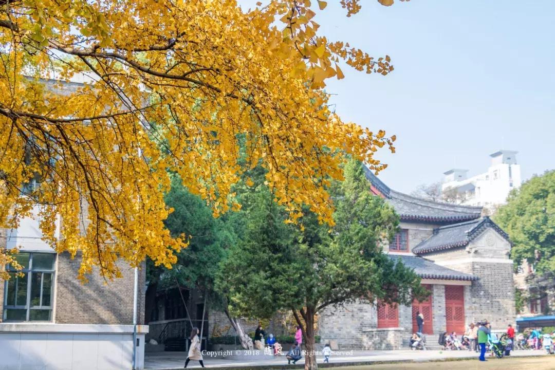 南京的大学学校面积,南京的大学有哪些