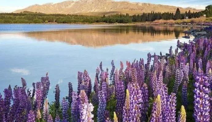 星辰星语：底气，是最高贵的标配