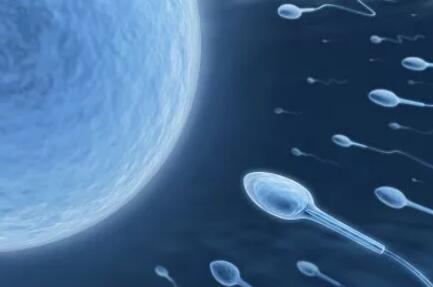 试管婴儿打夜针常识,试管婴儿常识2012