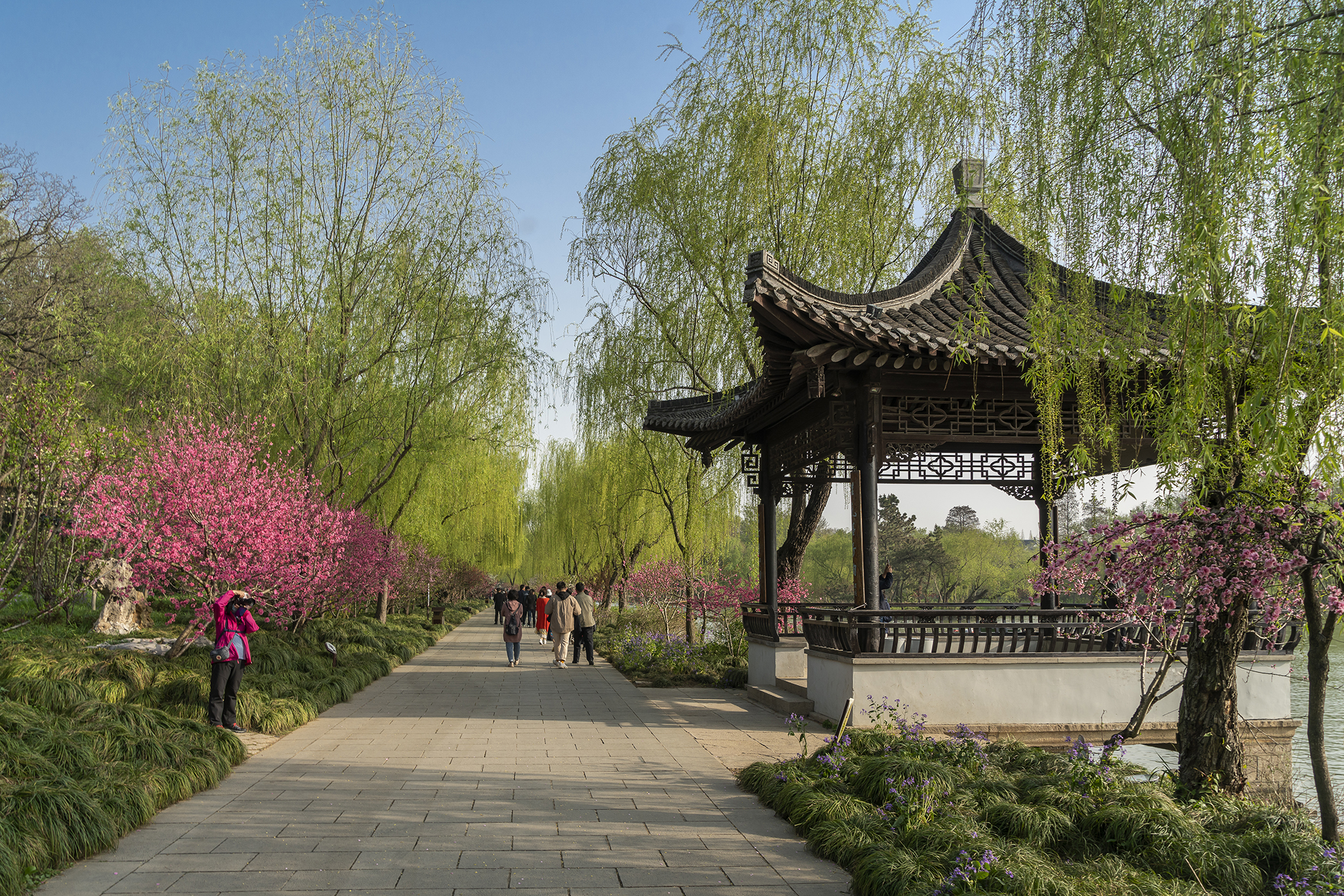 烟雨江南扬州瘦西湖,扬州春风十里瘦西湖