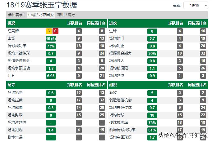 张玉宁谈国安完整版,张玉宁深度分析