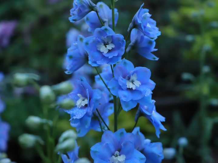 中考修改病句解析及答案,中考病句辨析题解题技巧