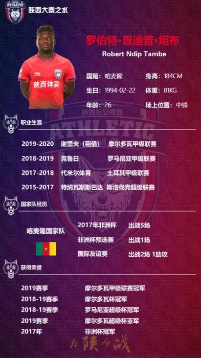 西北狼最新中甲消息,西北狼最新引援信息