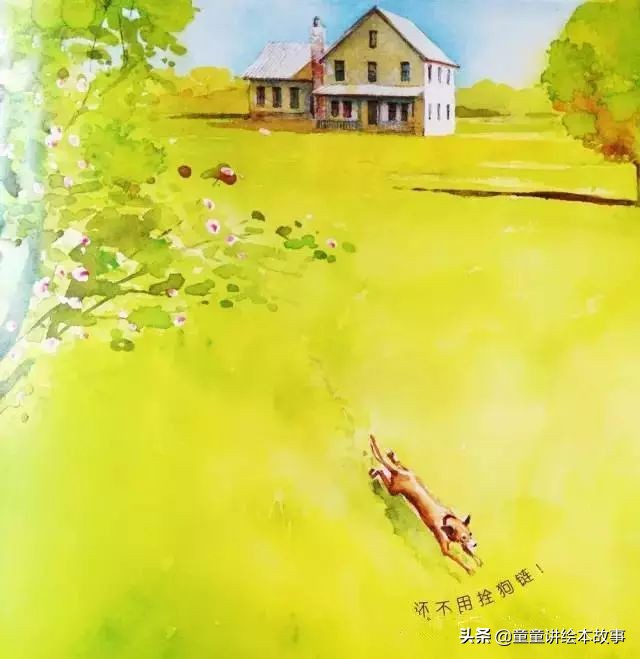 绘本故事有声小熊进城,绘本故事大城市里的小象