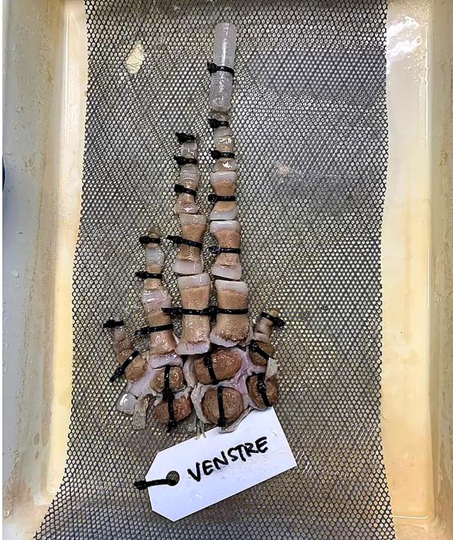 全身发抖的图片,全身发抖的照片