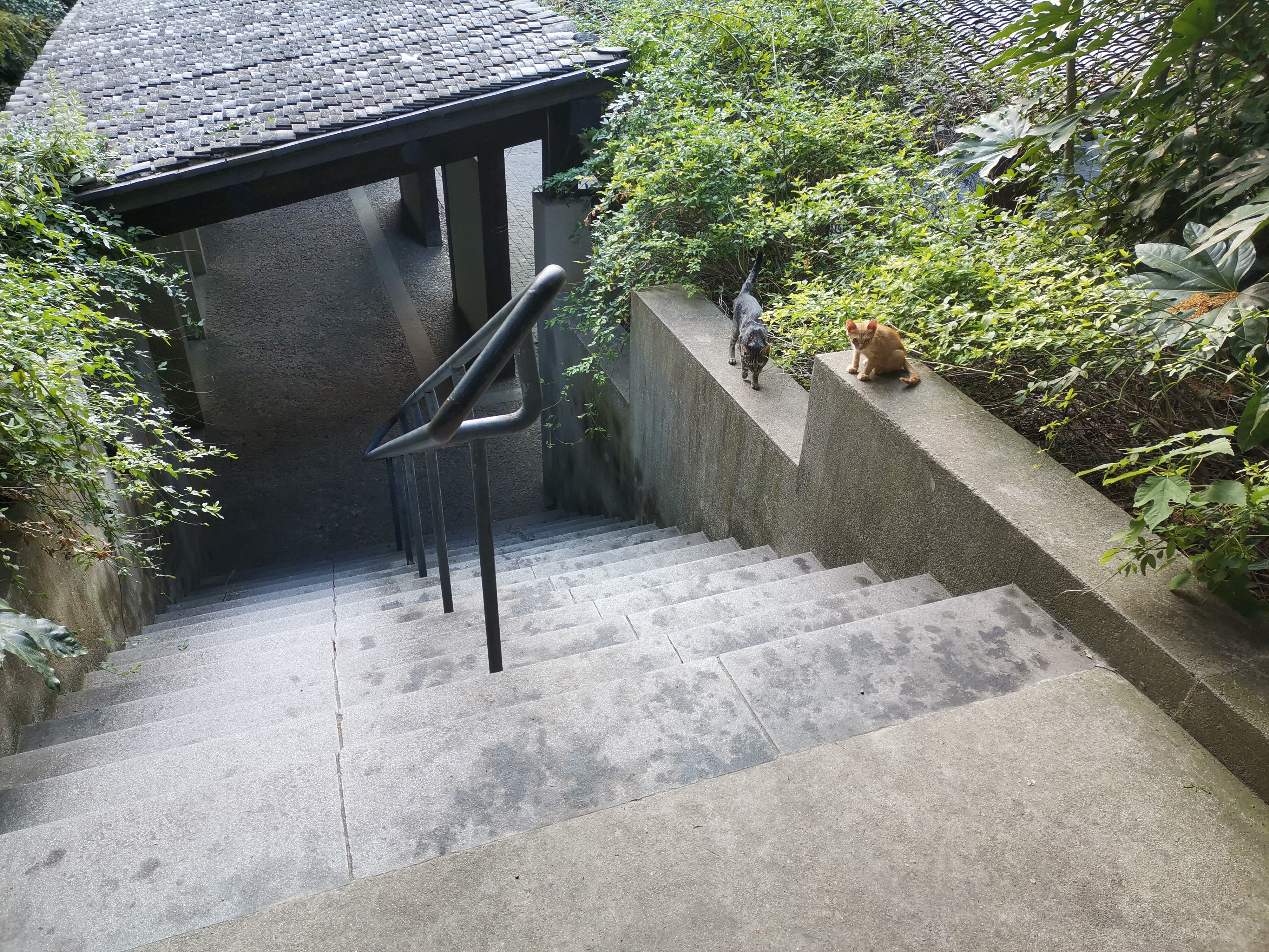 陈化成是个怎么样的人,陈化成照片