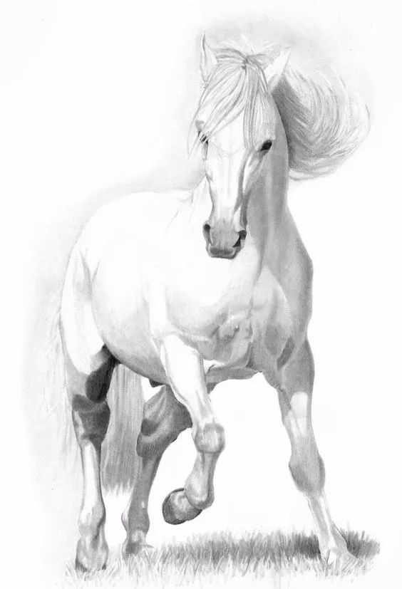 绱犳弿鍏ラ棬鍔ㄧ墿,绱犳弿鍔ㄧ墿瑙ｆ瀽