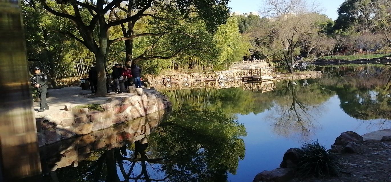 笑傲江湖怎奈白鹤南翔上海棋坛元老激战古漪园