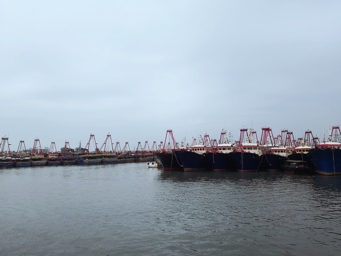 如约而至的涠洲岛,涠洲岛一生所爱