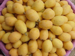 这6种水果蒸着吃止咳化痰又润肺,想止咳得先润肺