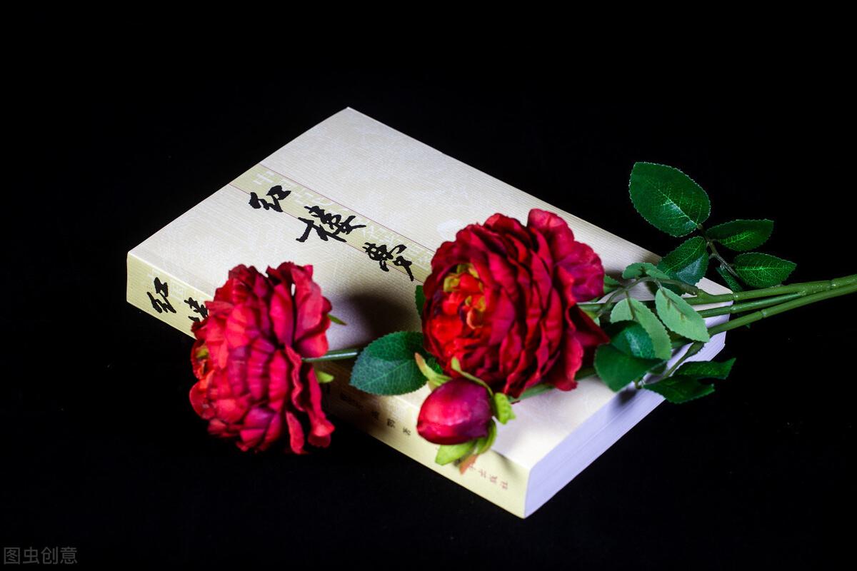 红楼梦讲的是什么时期的诗,红楼梦里面人物到底是哪个朝代的