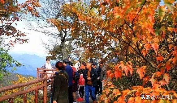 四川改革开放四十周年大事记,四川四十年改革开放对比图