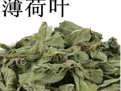薄荷的作用和它的功效是什么,薄荷的简介及功效与作用有哪些