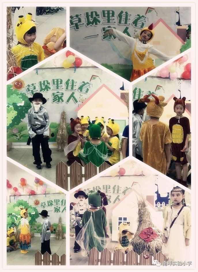 南岸区南坪实验小学招生最新,南坪实验金科小学划片