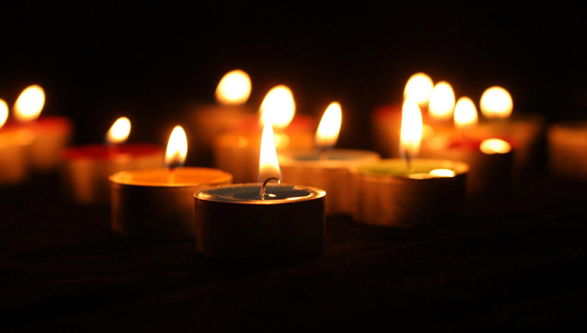 幼年巴西龟图片大全可爱版,巴西龟小时候最可爱的模样