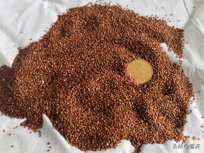 凉粉怎么做冷饮好吃,自制低热量凉粉