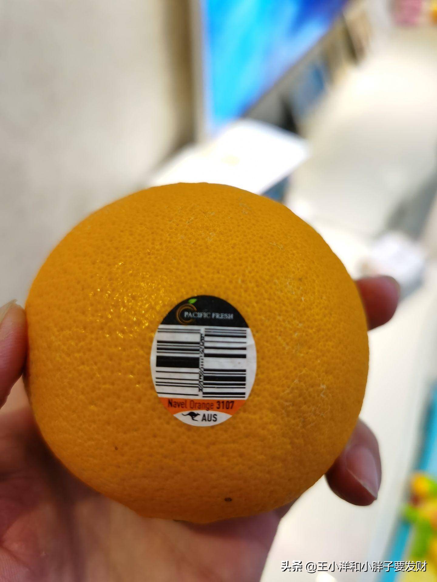 橙意暖心：网易考拉海购买澳洲甜橙经历分享