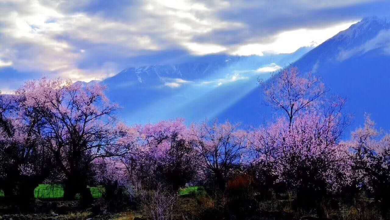 自驾游318川藏线总消费,2016川藏线旅游攻略图片及价格