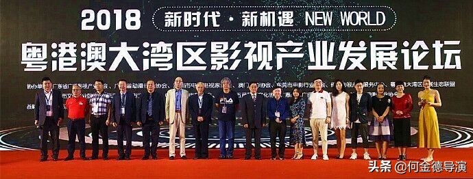 广东粤港澳大湾区促进会,广东省粤港澳大湾区促进会