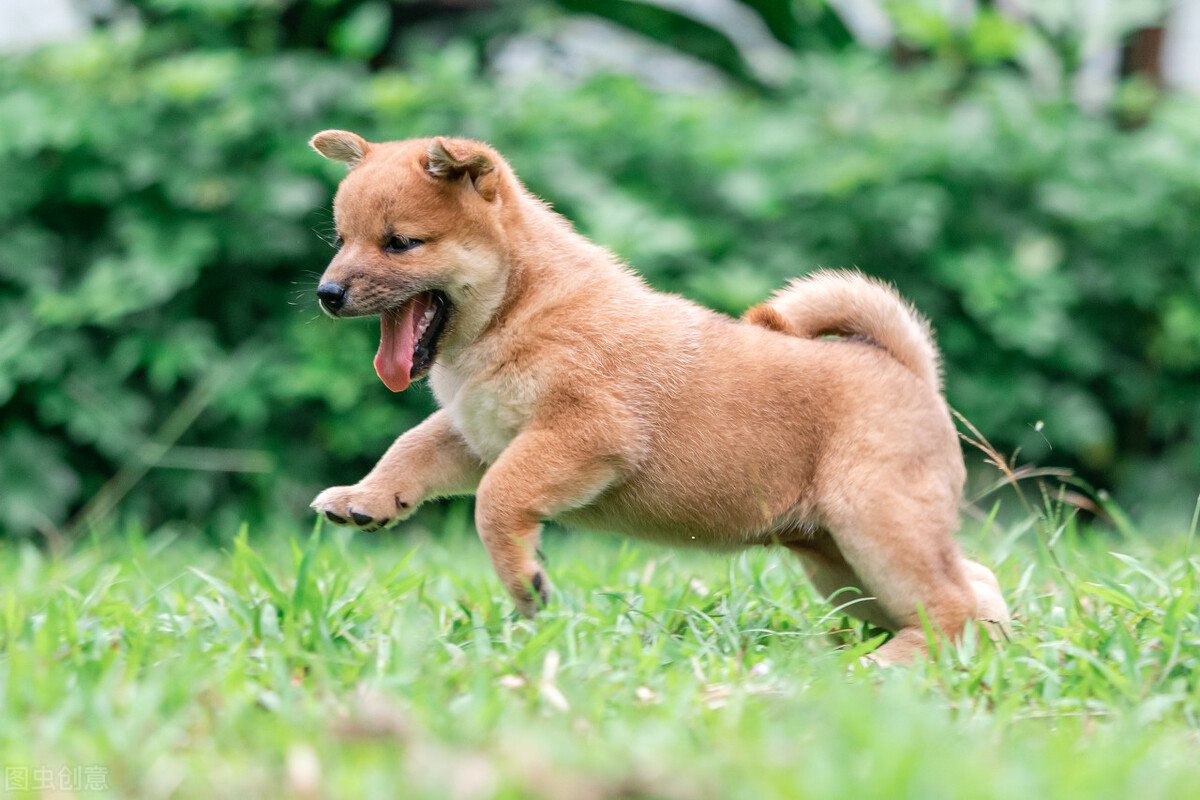 闲鱼上遇到的骗人套路,闲鱼里的一些套路