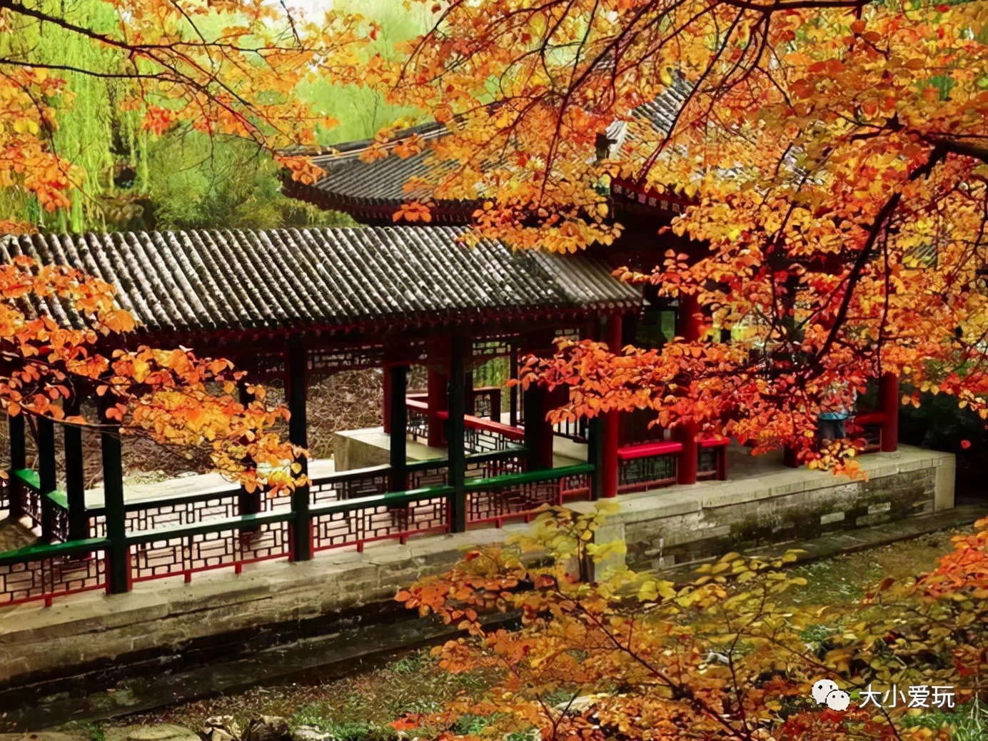 北京红螺寺银杏最佳观赏时间,北京赏银杏景区有哪些