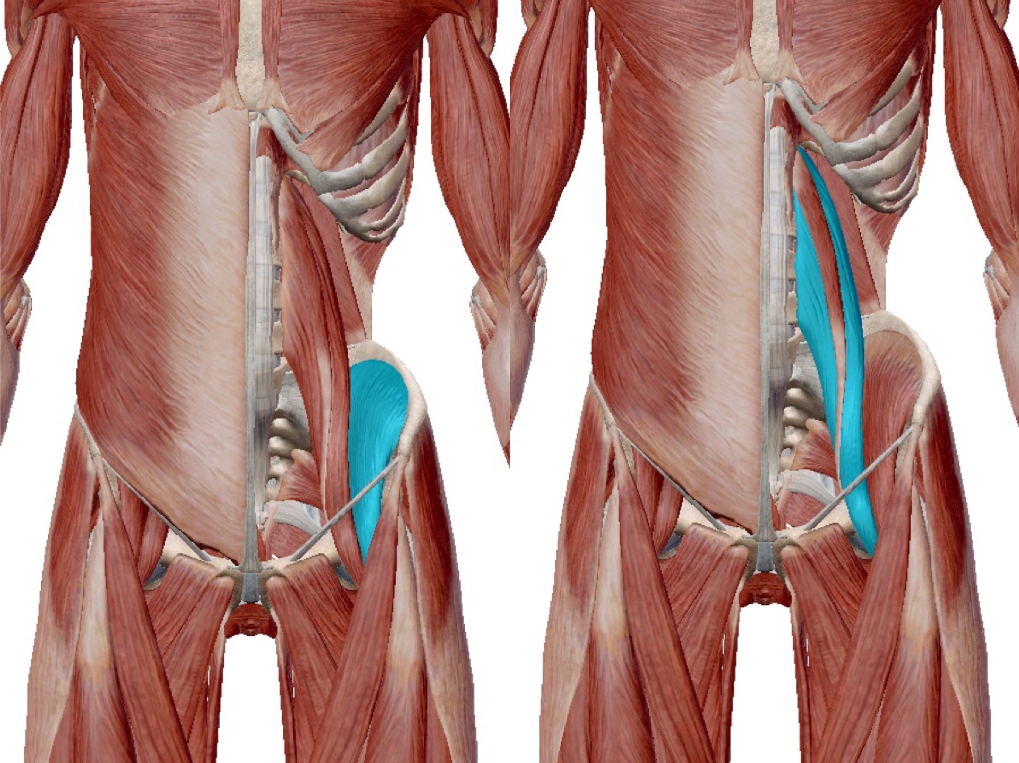 久坐后背疼如何缓解,长期久坐后背不舒服