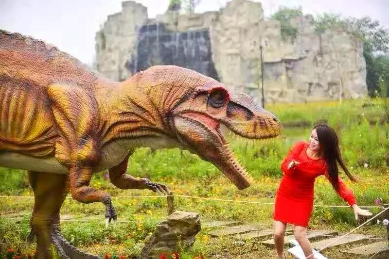 东南花都花博园景观,东南花都花博园