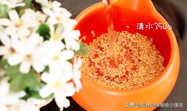 焦米汤治拉肚子,焦米汤治拉肚子的做法