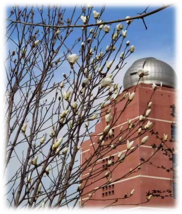 天津市高级中等学校,天津市天津中学高考录取率