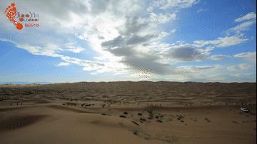 沙漠新手训练营,沙漠早期教育亲子课程