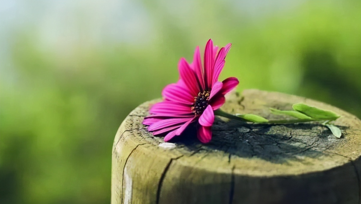 自律的人都戒掉九件事,自律的人必须戒掉哪些事